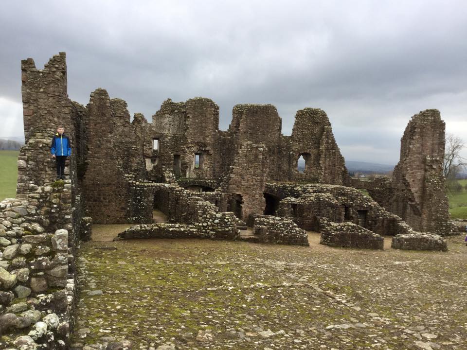 505541484-9354510811319725-4685018434701651248-n