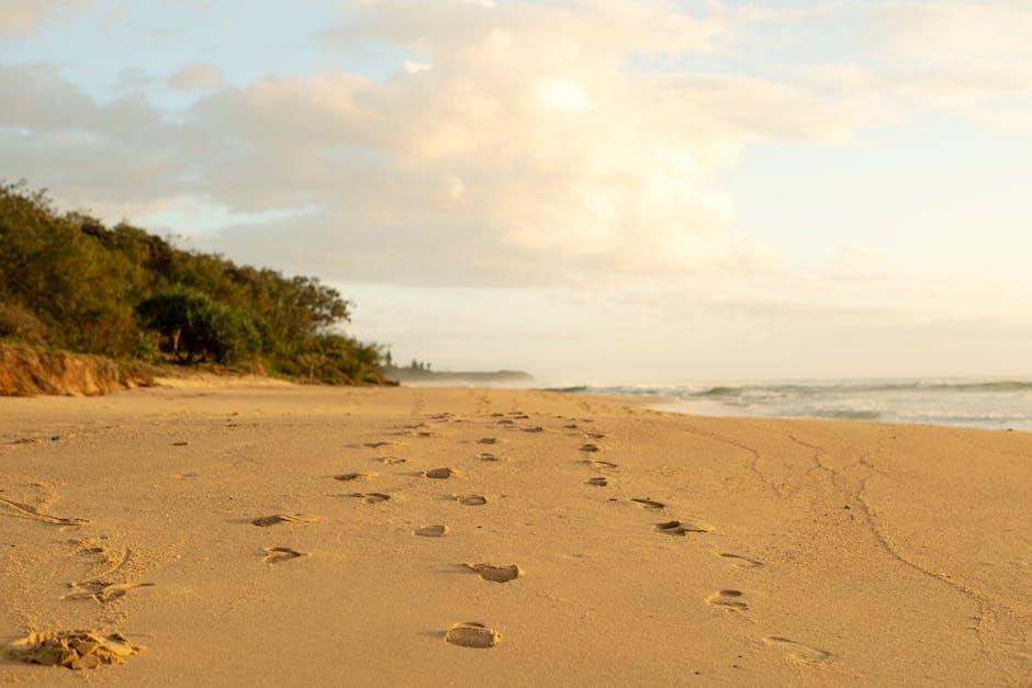 pexels-photo-31879845